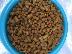 Weijia mèo thực phẩm cá ngừ cá salmon thức ăn cho mèo Weijia số lượng lớn mèo thực phẩm thị lực để tóc bóng cat staple thực phẩm 5 kg