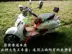 Big rùa vua xe máy xe điện kem chống nắng không thấm nước PU tổ ong lưới da báo đệm che bao gồm chỗ ngồi bọc yên xe máy airblade Đệm xe máy