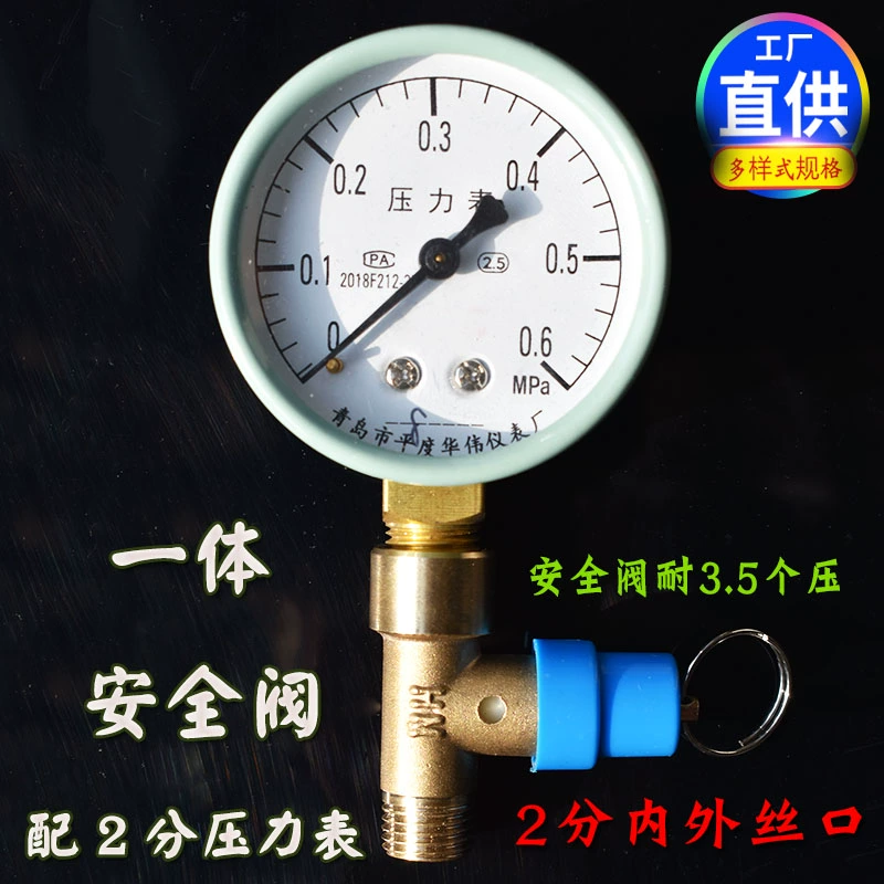 đồng hồ áp suất gas Đồng hồ đo áp suất dạng tháp, bình áp suất 2 vòi, phụ kiện áp suất y60, máy đo áp suất không khí, chống sốc có độ chính xác cao đồng hồ áp suất điện tử đo áp suất 