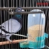 Chim bồ câu chim vẹt chim với nước uống tự động thư chim bồ câu cung cấp thiết bị trung chuyển lớn trung chuyển - Chim & Chăm sóc chim Supplies Chim & Chăm sóc chim Supplies