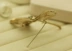XZ100 蜻蜓 Áo pha lê Hàn Quốc trâm cài nữ cao cấp trâm cài trang sức khăn quàng cổ khóa pin - Trâm cài