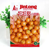 Gragon Sweet Mushroom Mother Seed 5G оригинал