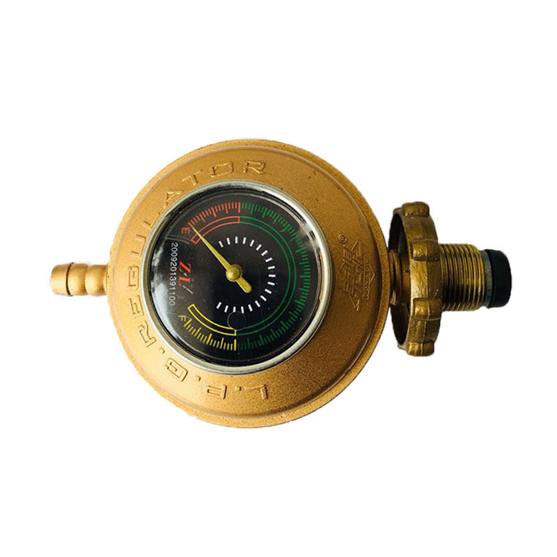 Home Use Propane Gas Tanks Regulator Valve Adjustable Low Pressure Gauge eBay