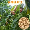 Товары от 昭阳百货