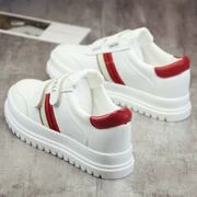 Phiên bản Hàn Quốc của giày trắng nữ hoang dã 2018 mùa hè mới in giày vải sinh viên đế dày đế giày đế bằng màu trắng