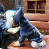 Тедди Померанский Корги Кот одежда осень и зимние щенки Толстовка питомец