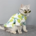 Công chúa phong cách quần áo chó mèo mùa xuân và mùa hè mỏng phần cá tính Gấu Pomeranian Teddy áo thú cưng hai chân trang trí quần áo - Quần áo & phụ kiện thú cưng