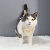 Ожерелье Большого Брата ~ Супер полишные собаки для питомца и кошачья золотая цепочка