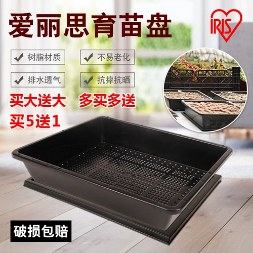 [爱丽思S-5育苗盘 爱丽丝 特大510芽苗菜盘 育苗托盘育 收纳小黑方]