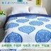 Micro-xoắn bông chần giường bao gồm điều hòa không khí là mùa xuân và mùa thu của mùa hè mát mẻ bởi đôi dày giường đơn giản bông mảnh duy nhất Trải giường