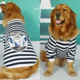 Большая собачья одежда Золотая ратабулда Пет Самоя Аляска Большая собака Лето средняя большая большая собака тонкая