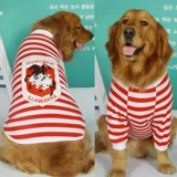 Большая собачья одежда Золотая ратабулда Пет Самоя Аляска Большая собака Лето средняя большая большая собака тонкая