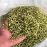 Золотой и серебряный цветочный чай Henan fengqian Qianqian Золотой и серебряный цветок Меньший купальный купальный купание.