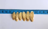 Rhizosato 500 грамм G Бесплатная доставка Gansu Xinpin Pin Pure Pure Pure Boy Boy.