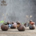 Dễ thương pig trà pet đồ trang trí mini thủy canh hoa boutique cát màu tím khỉ đồ trang trí bàn trà phụ kiện trà có thể được nâng lên bình pha trà Trà sứ