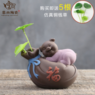 Dễ thương pig trà pet đồ trang trí mini thủy canh hoa boutique cát màu tím khỉ đồ trang trí bàn trà phụ kiện trà có thể được nâng lên
