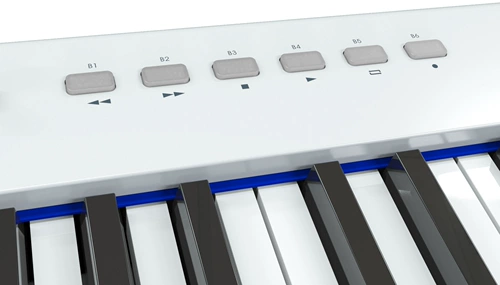 [Сетла платы] Midiplus x6 x8 61 Ключ 88 КЛЮЧ КЛЮЧ -ВЕЛИ