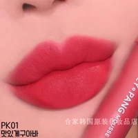 PK01