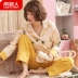 Bộ đồ ngủ nữ ở Nam Cực mùa xuân và mùa thu cotton dài tay hai mảnh phù hợp với áo len phiên bản Hàn Quốc của thiếu nữ phục vụ tại nhà mùa hè - Bộ Pajama