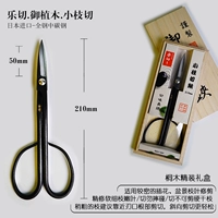 Япония импортировала небольшие филиалы Leci