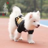 [Сломанный код зазор] Брюки для собак, маленькая рубашка.-Дог