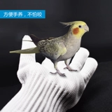 Средство от укусов, перчатки, стальная проволка, домашний питомец