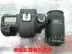 Được sử dụng Canon EOS 7D SLR chuyên nghiệp máy ảnh kỹ thuật số kim loại cơ thể nhanh chóng tập trung chụp liên tục gốc xác thực SLR kỹ thuật số chuyên nghiệp