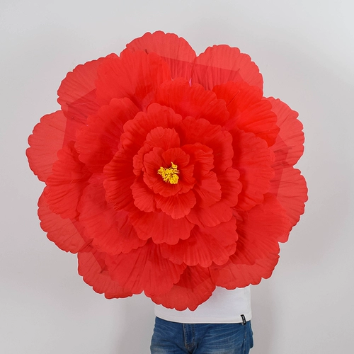 Пиони -цветочный зонтик цветы цветут процветающие танцевальные реквизиты для взрослых танцевальных сцен