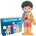 chàng trai câu đố mầm non và trẻ em gái trong những cấu trúc cơ thể của đồ chơi giáo dục nhận thức 3-6 tuổi Đồ chơi bằng gỗ