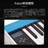 [Nanga D] Dexibell Vivo S1 68 КЛЮЧЕВАЯ КЛЮЧЕВАЯ