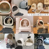 Юаньчжу мяу -кошачь