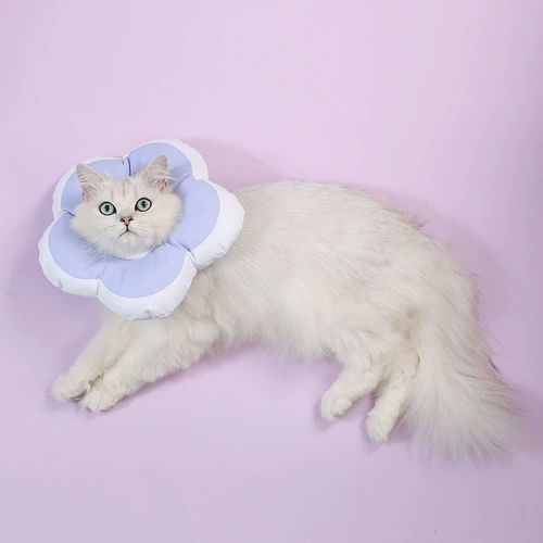 Yuanzhang Meow 丨 Элизабет Круг Круг Кэт Кот Голова набор собаки Круг заново