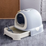 Юаньчжу мяу -кошачь