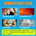 Thú cưng canxi cao xương sửa chữa canxi chó mèo con chó con đặc biệt Golden Retriever phương pháp xô bên chăn nuôi Husky phổ quát - Cat / Dog Health bổ sung sữa cho chó phốc sóc Cat / Dog Health bổ sung