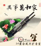 Шенг инструмент 14 Весенний бронзовый ведро Shengmu Pitch расширение Fangsheng Professional Drama Drama Lusheng National 14 весенний бронзовый ведро