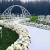 Thảm đám cưới thảm đỏ cưới dùng một lần đỏ trắng tím hồng xanh xanh cỏ cưới chương trình