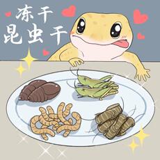 Насекомое питания рептилий/мин