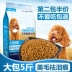 Thức ăn cho chó nhiều thức ăn 2.5kg chó con thức ăn cho chó 10 Teddy VIP Golden Retriever samoyed thức ăn chính 5 kg loại phổ quát