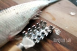 Японские рыбные чешуйки царапают чешуйки рыбы