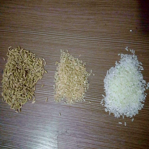 [1 кот вакуумной упаковки] Северо -восточный коричневый рис, выращенные с разнообразным зерновым питанием коричневое рис Таинственное рис рис рис