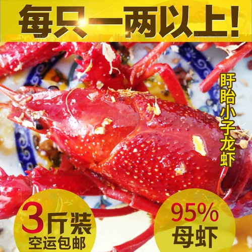 [Board Boys Lobster] Тринадцать ароматов Sciess Secret Formula Lobster