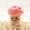 Pet vocal puppy dog ​​toy chic Teddy mole cắn Teddy lớn Golden Retriever con chó con