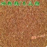 Yunnan Triting Sead Powder Seed Seed Seedmes семена семян семян.