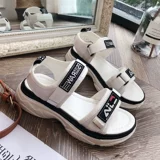 Спортивные сандалии, летняя универсальная пляжная обувь на платформе для отдыха, 2022, в корейском стиле, популярно в интернете