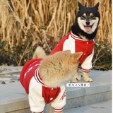 Чай улун Да Хун Пао, спортивная бейсбольная форма для отдыха, куртка, толстовка, с вышивкой