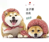 Японская тангао -паттерная Шиба Ину Леонгинг в маленький рюкзак