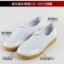 Cáp Nhĩ Tân Changshou bán hàng trực tuyến Thương hiệu trường thọ 15 Giày croquet chân chuyên nghiệp CS-107X - Các môn thể thao khác