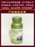 American GNC Enhanced Orange Orange Blueberry+лютеин 60 защита от потенциала.