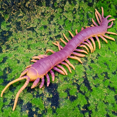 Игрушки-животные 超大仿真软胶动物蜈蚣模型静态整蛊吓人昆虫软蛇儿童玩具恶搞道具