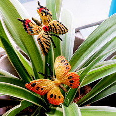 Игрушки 仿真昆虫软胶立体动物大蝴蝶模型微景观摆件早教教具儿童玩具套装